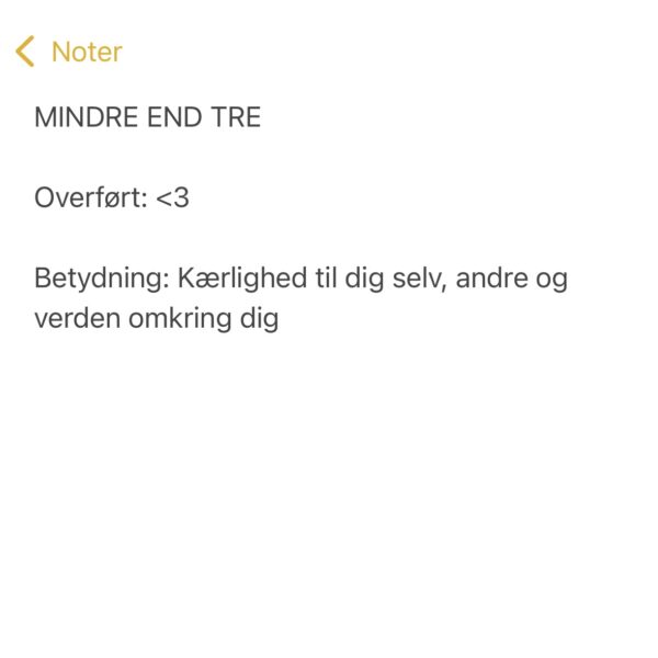 MINDRE END TRE x BOBLE | VEDHÆNG - Image 4